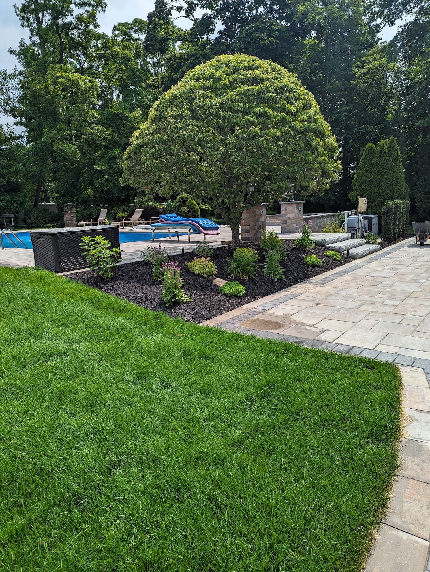 new landscape design & installation around pool area