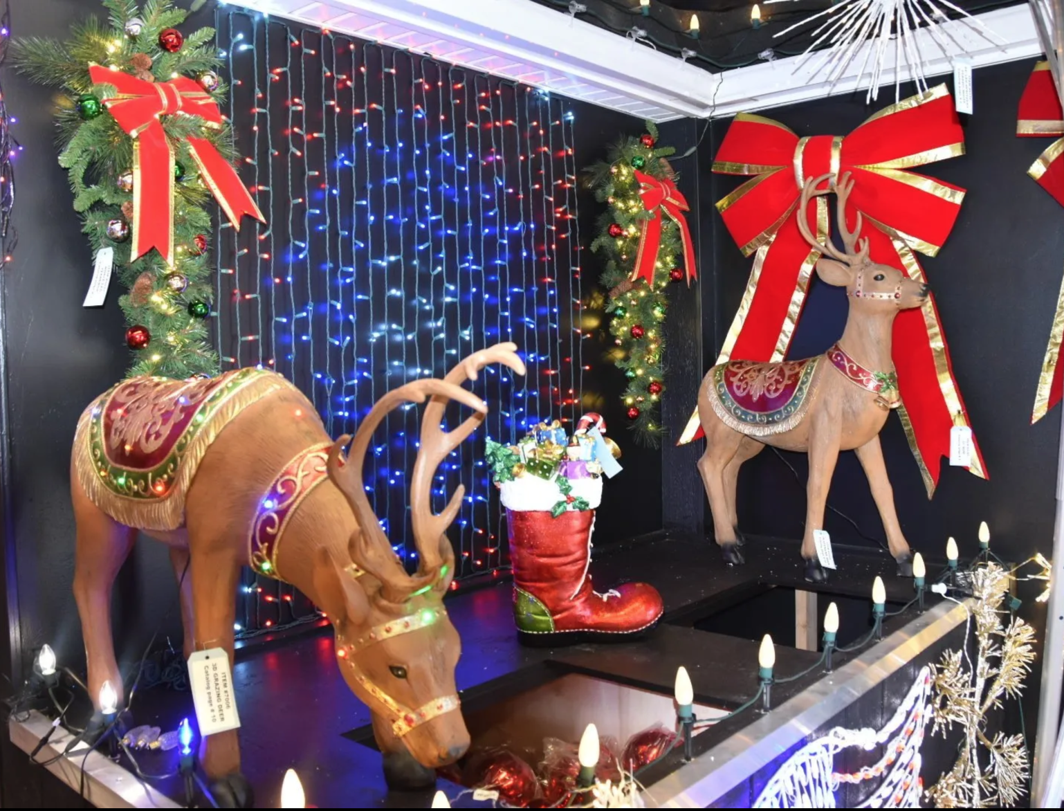 Christmas lighting
