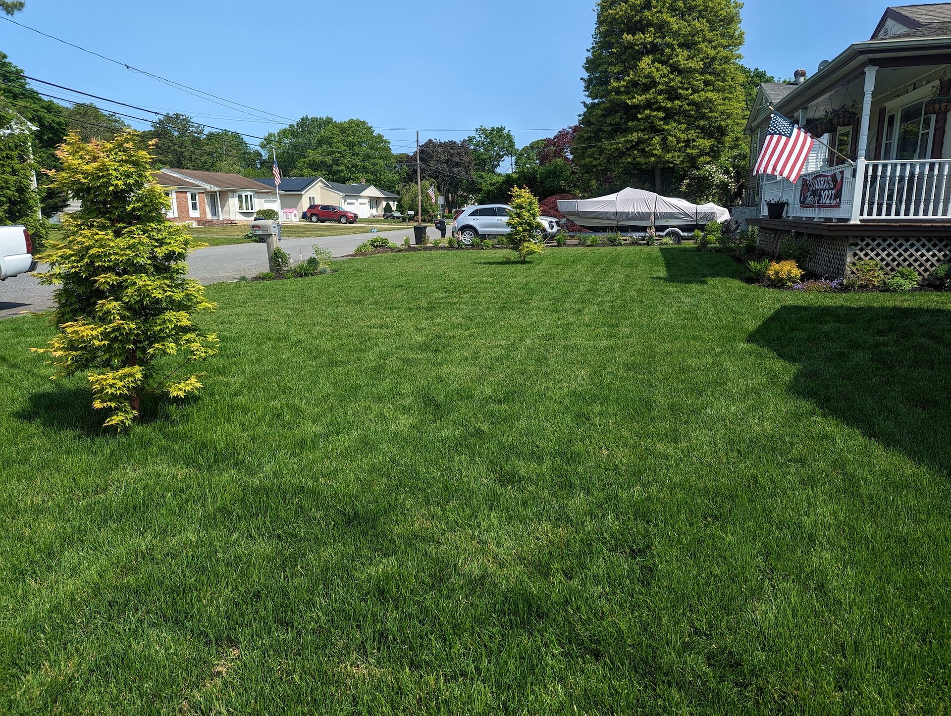 sod installation project completed