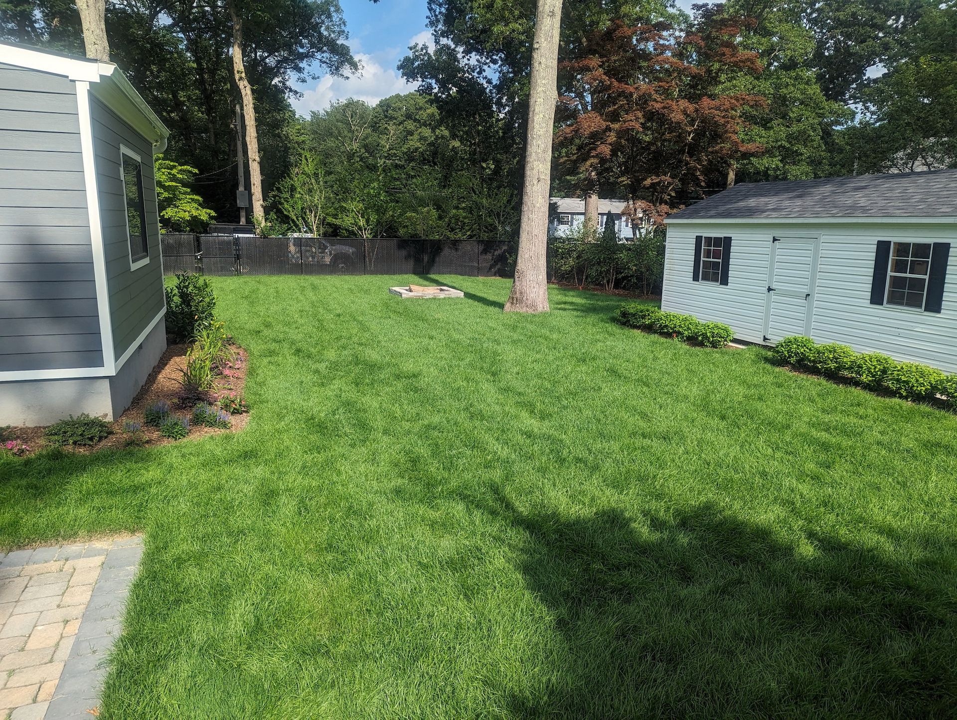 new sod installed between two residential properties