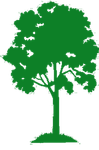 Tree Icon