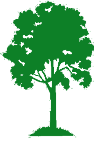 Tree Icon