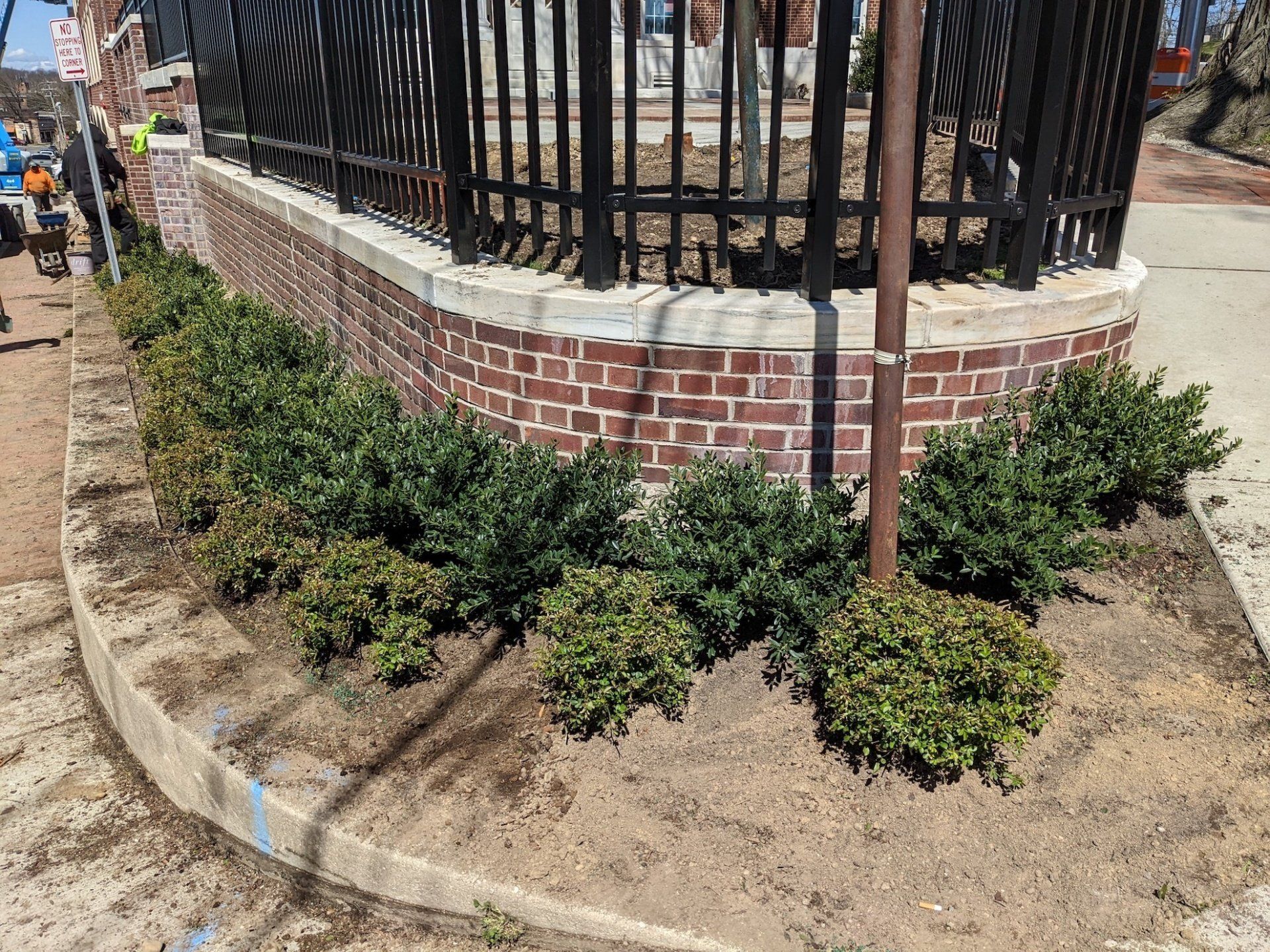 Plant Install
