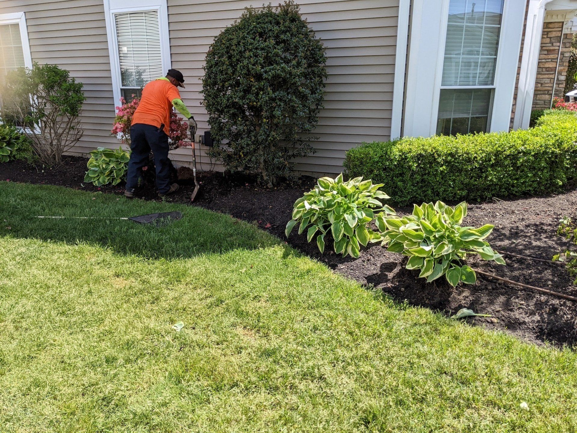 Landscaping