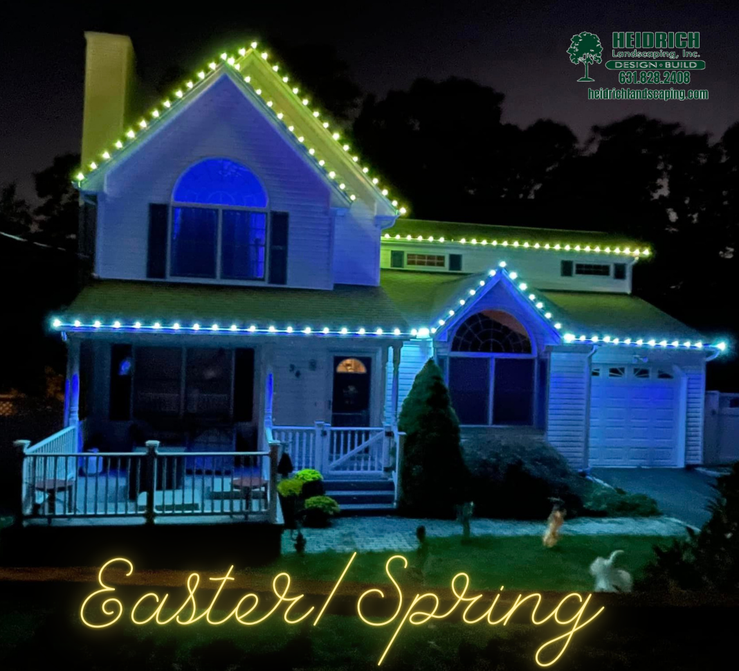 Holiday Lighting