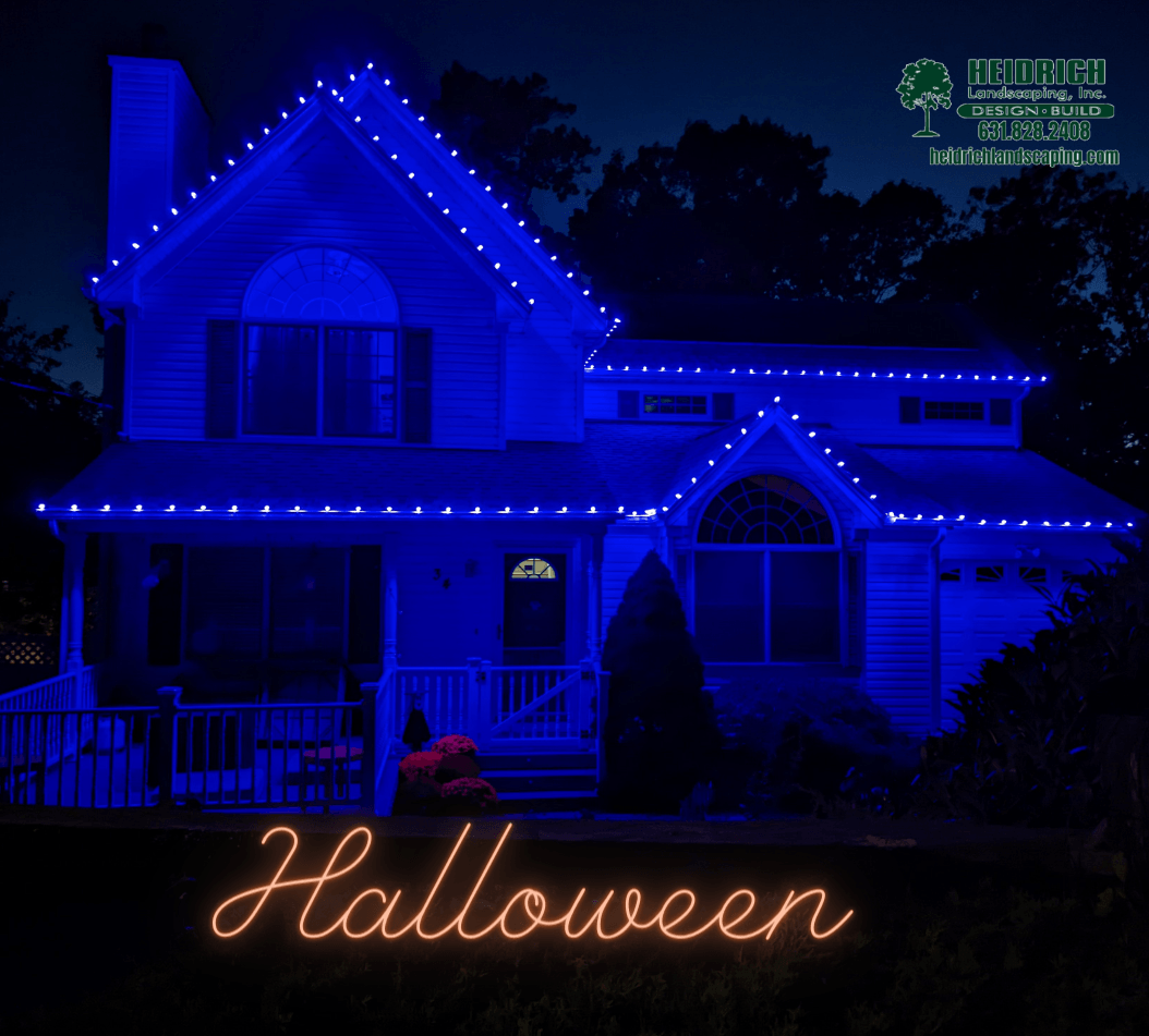 Holiday Lighting