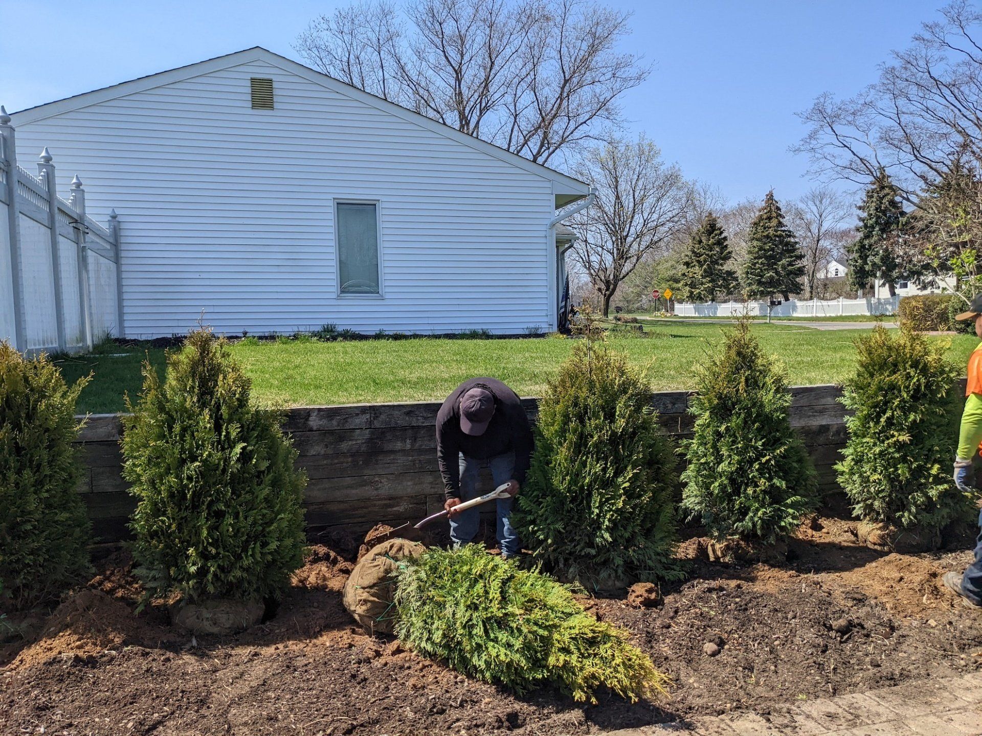 Plant Installation