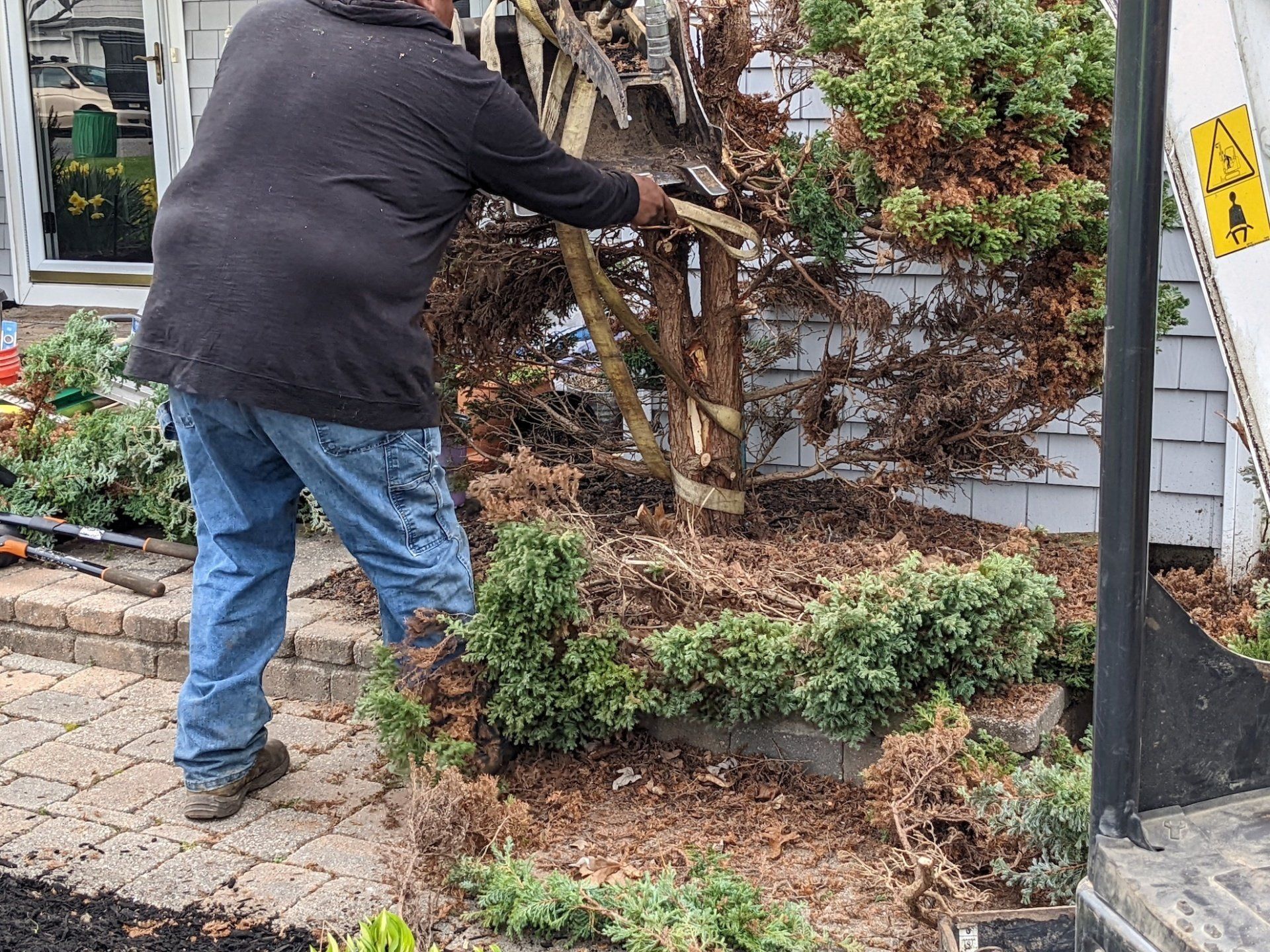 A man is cutting a tree with a chainsaw in front of a house.