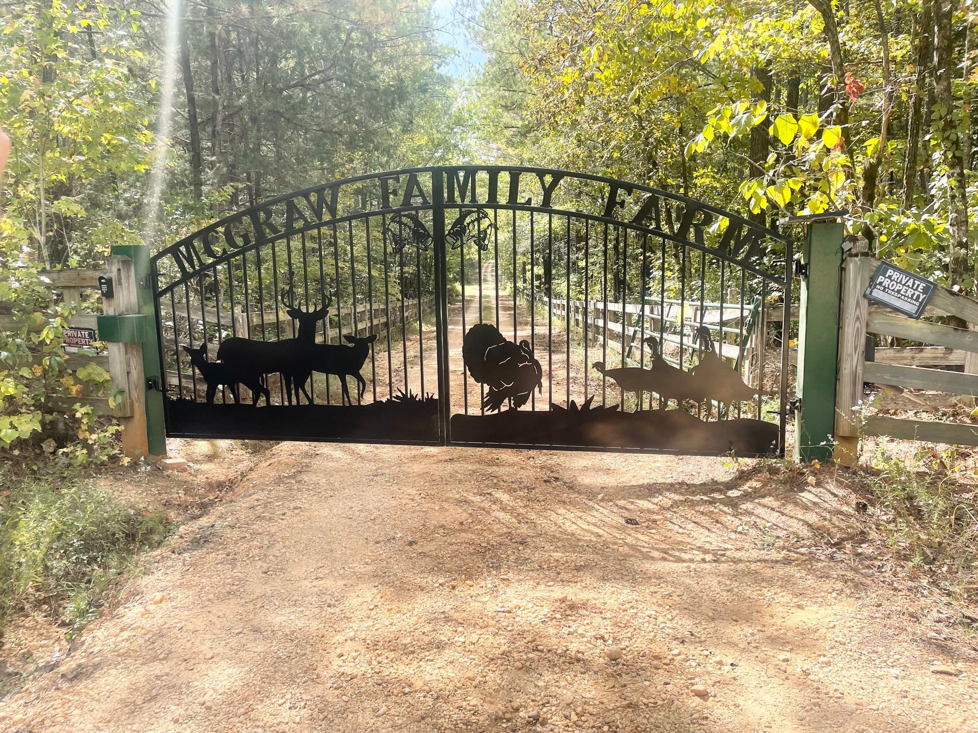 security gate