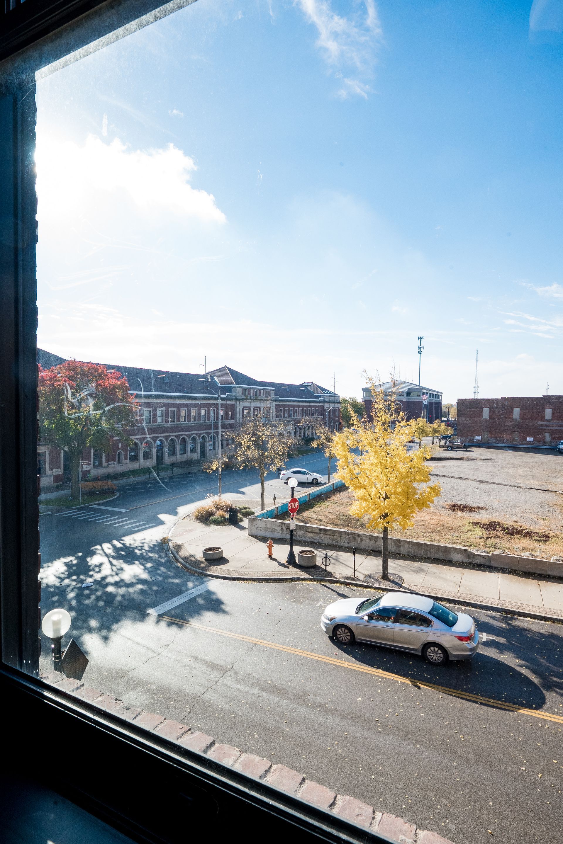 Sunlit urban canal with a yellow tree, cars on the road, and buildings under a clear blue sky