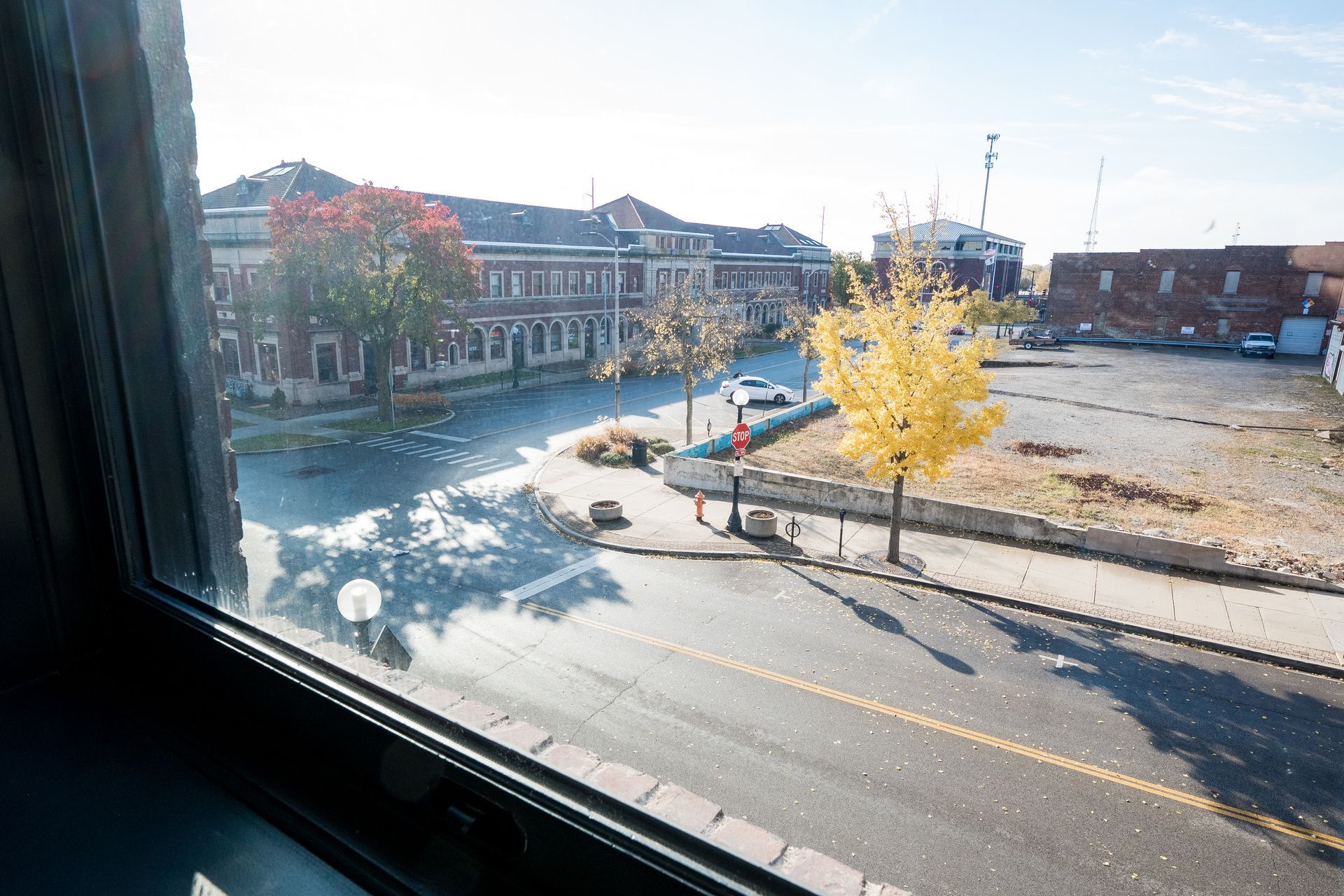 Sunlit street view from a window, with yellow autumn trees and brick buildings across the road.
