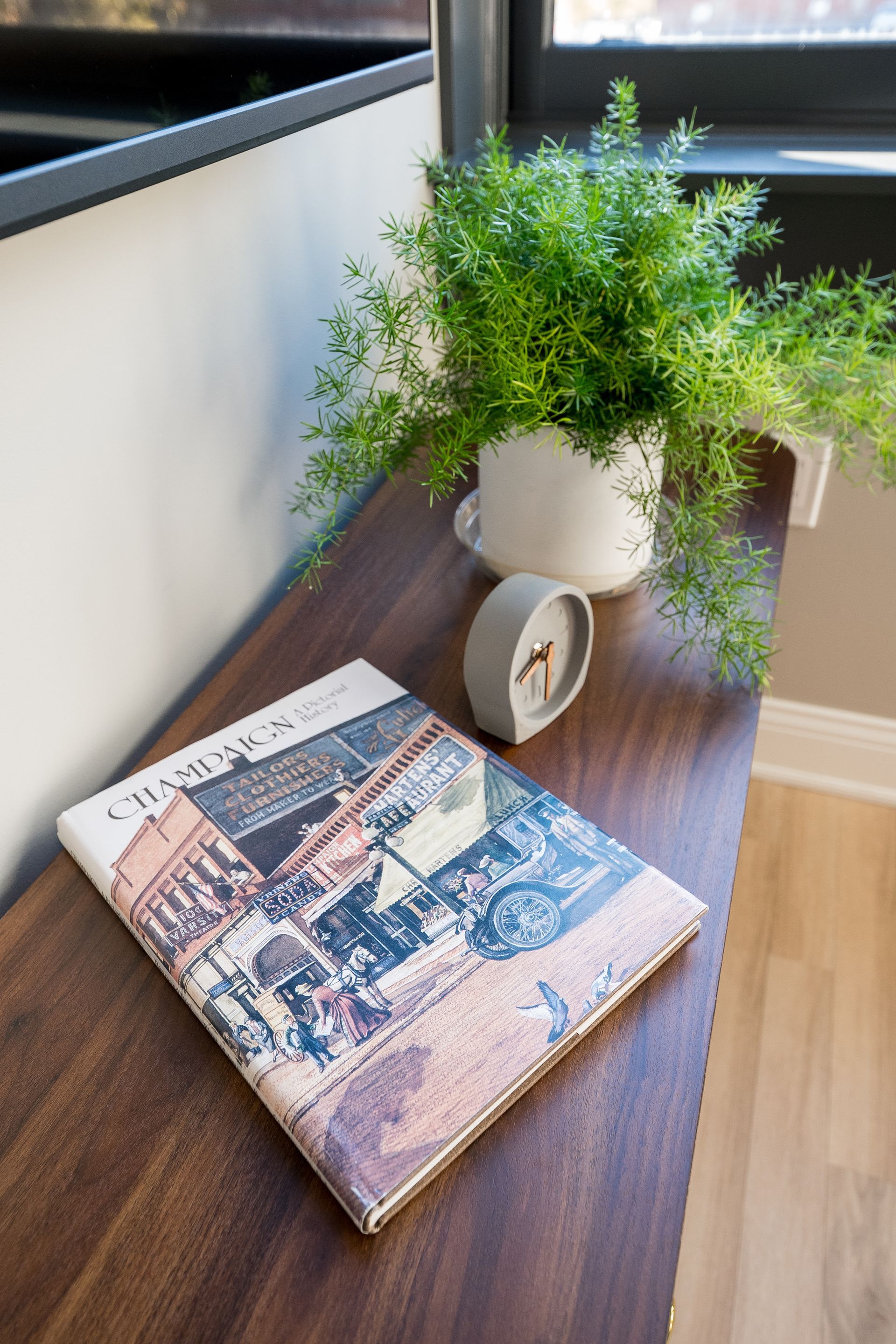 Small wooden table with a potted green plant and a cityscape book in a bright room