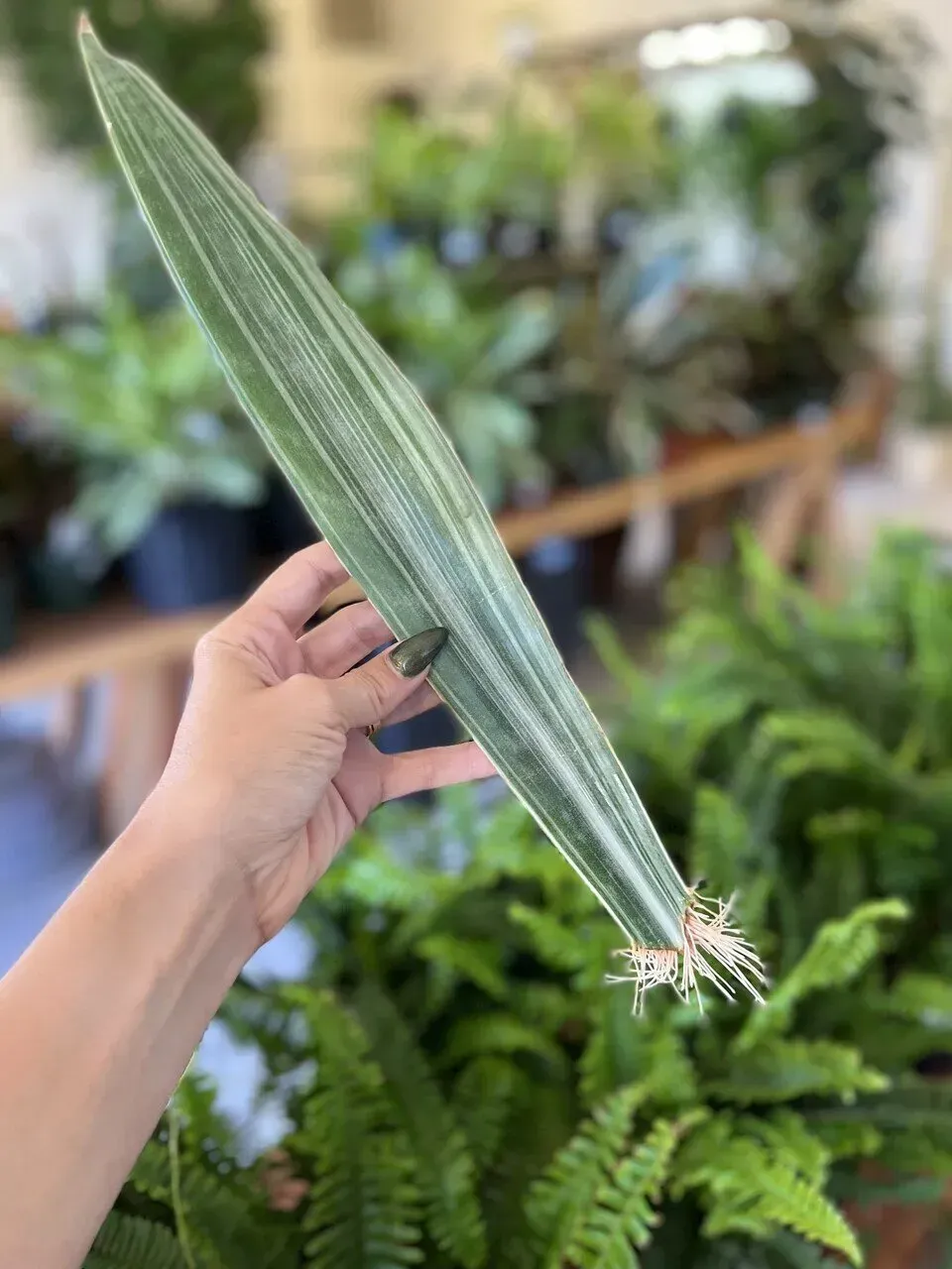 Propagation