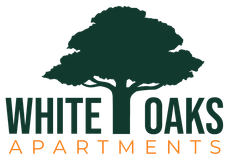 Company Logo - Footer
