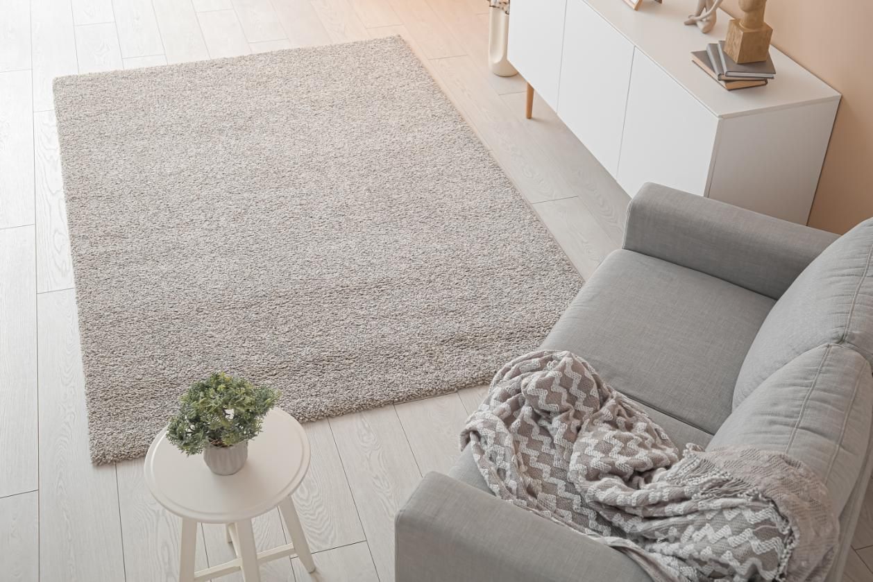 A cozy living room scene with a grey rug, sofa, and side table.