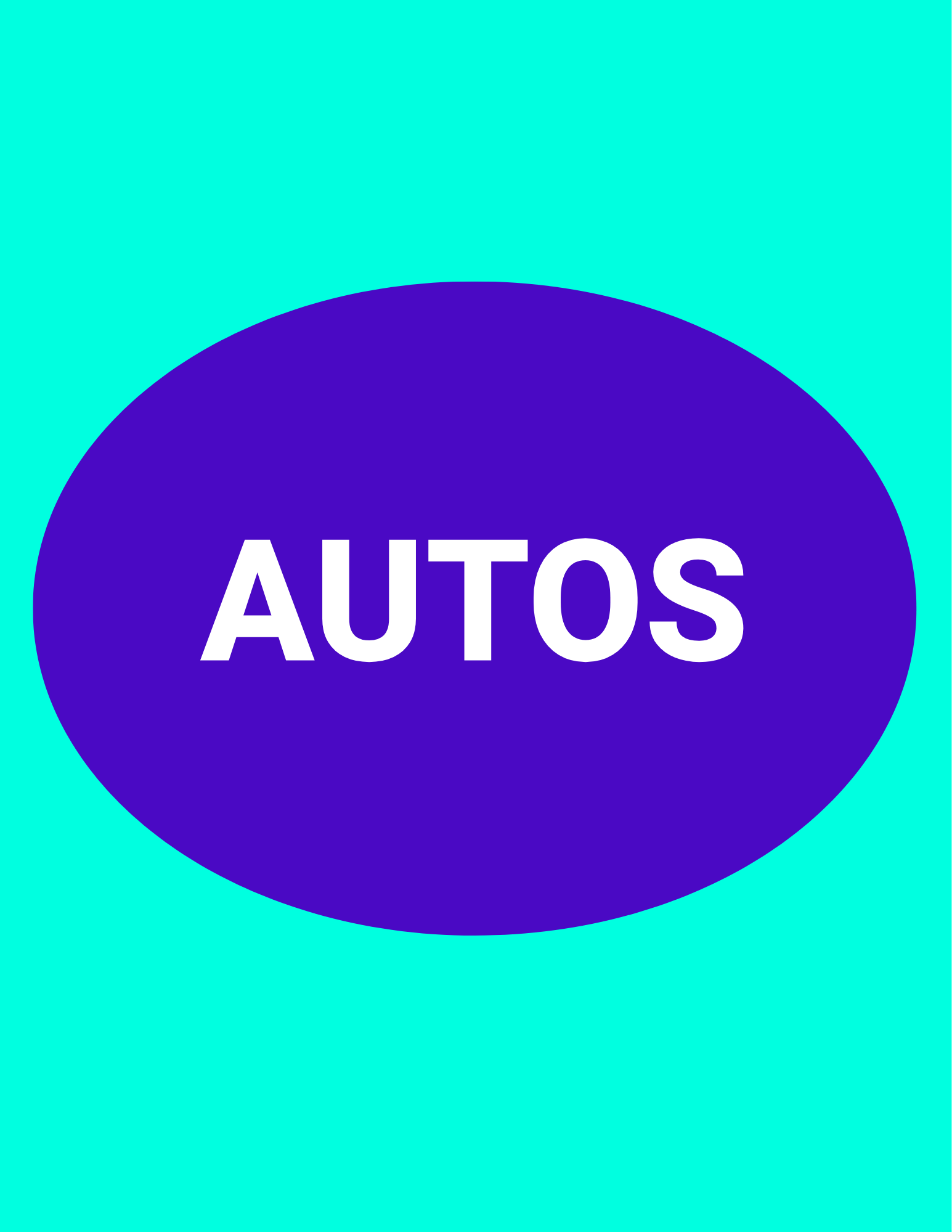 CAR MEETS