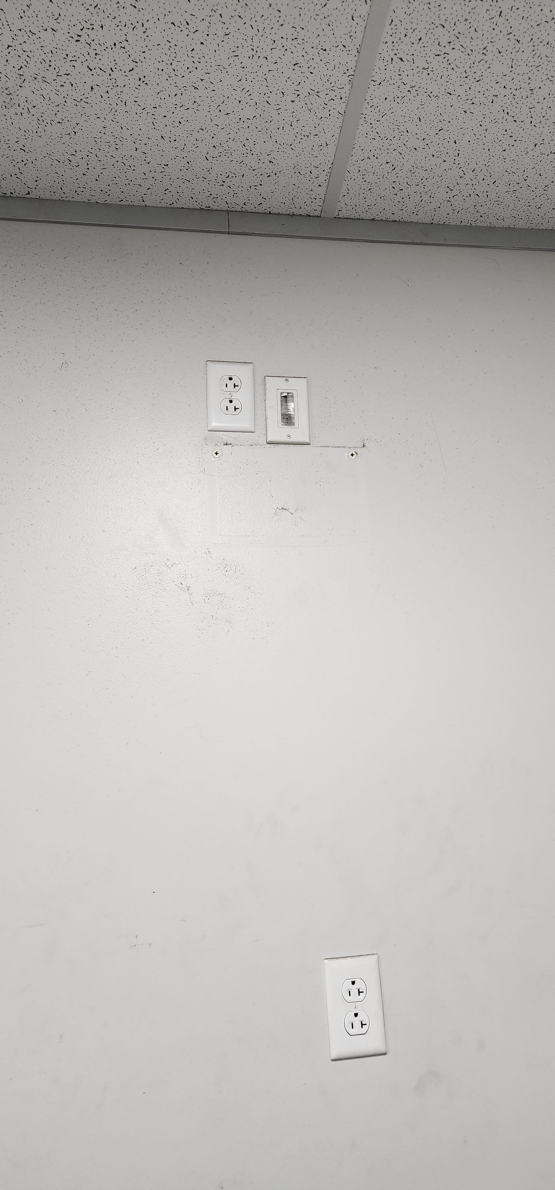 White wall with two switches near the top and an electrical outlet lower down. Ceiling above.