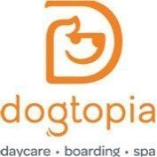 Dogtopia — Thryv Foundation Dogtopia — Thryv Foundation