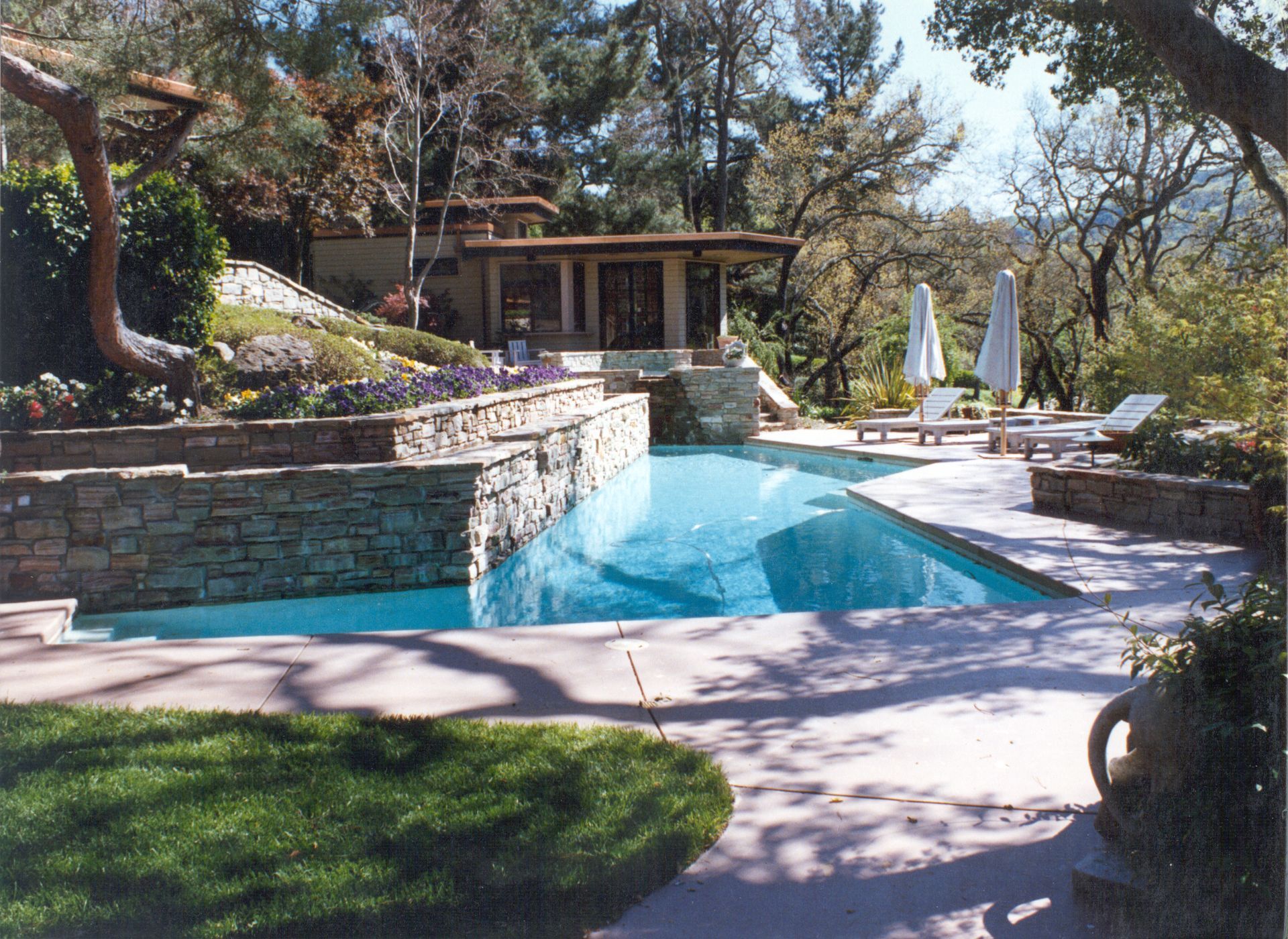 Modern backyard pool with stone wall, loungers, umbrellas, and trees in sunlight