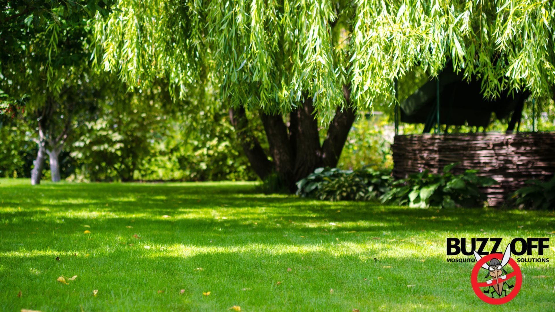 A picture of a lush green park with buzz off written on the bottom