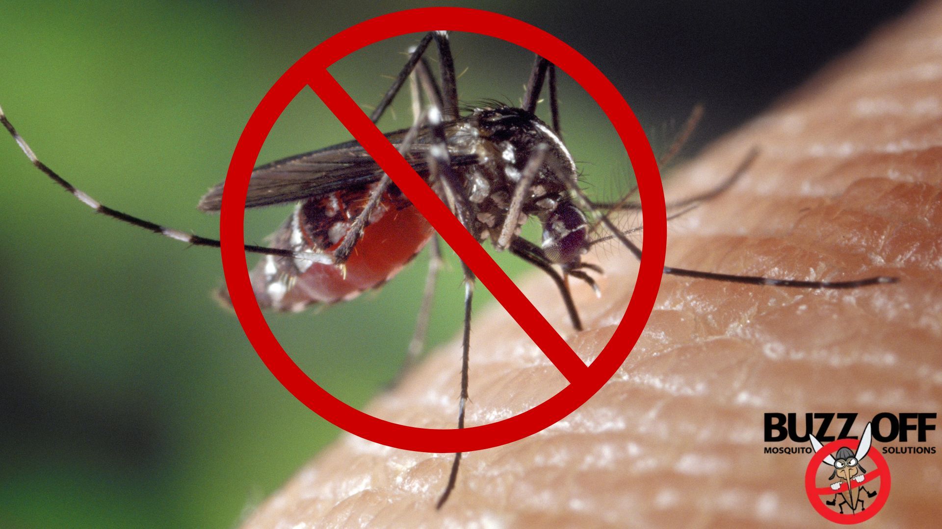 A picture of a mosquito with a red circle around it that says buzz off