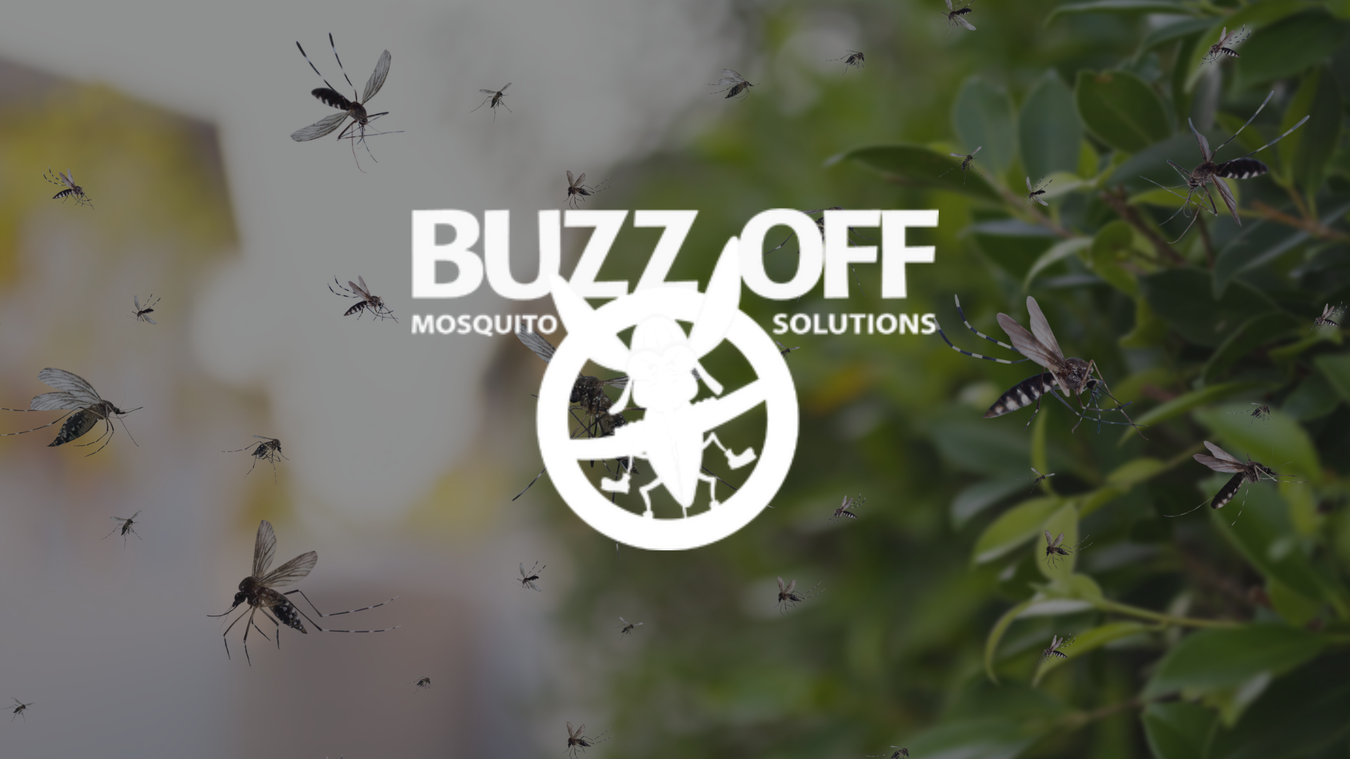 A bunch of mosquitoes are flying around a tree with the buzz off logo in foreground