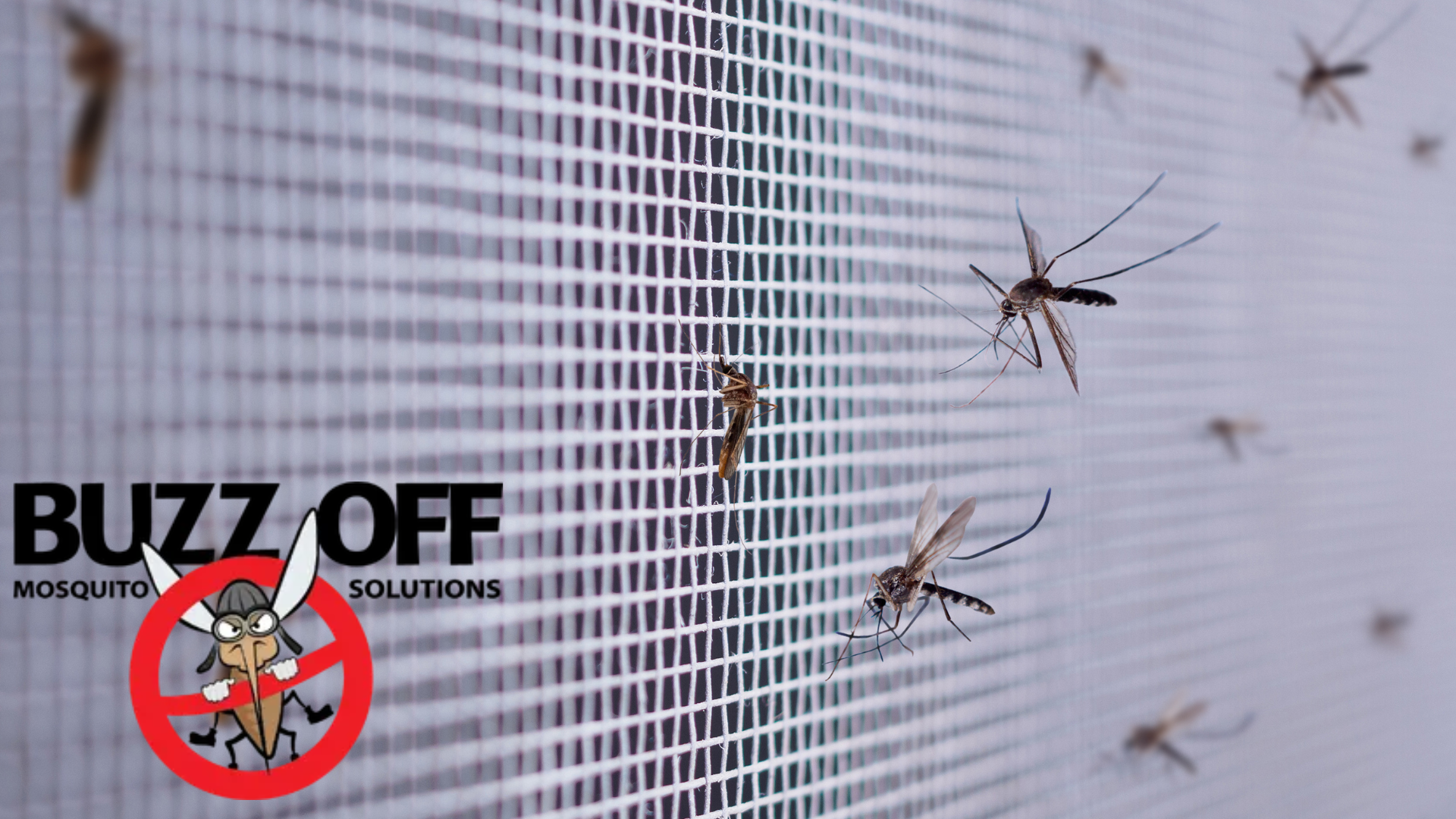 Mosquitoes are flying around a screen that says buzz off