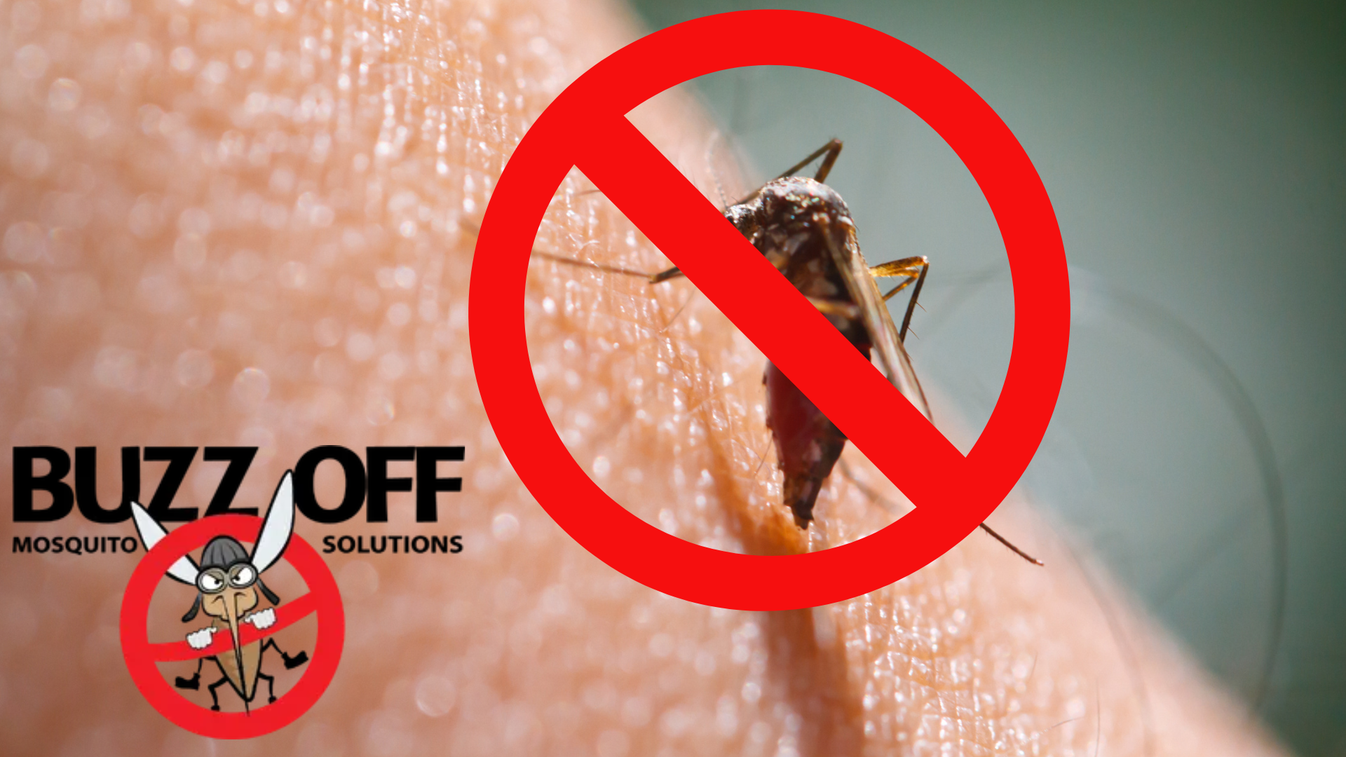 A picture of a mosquito with a buzz off logo in the background