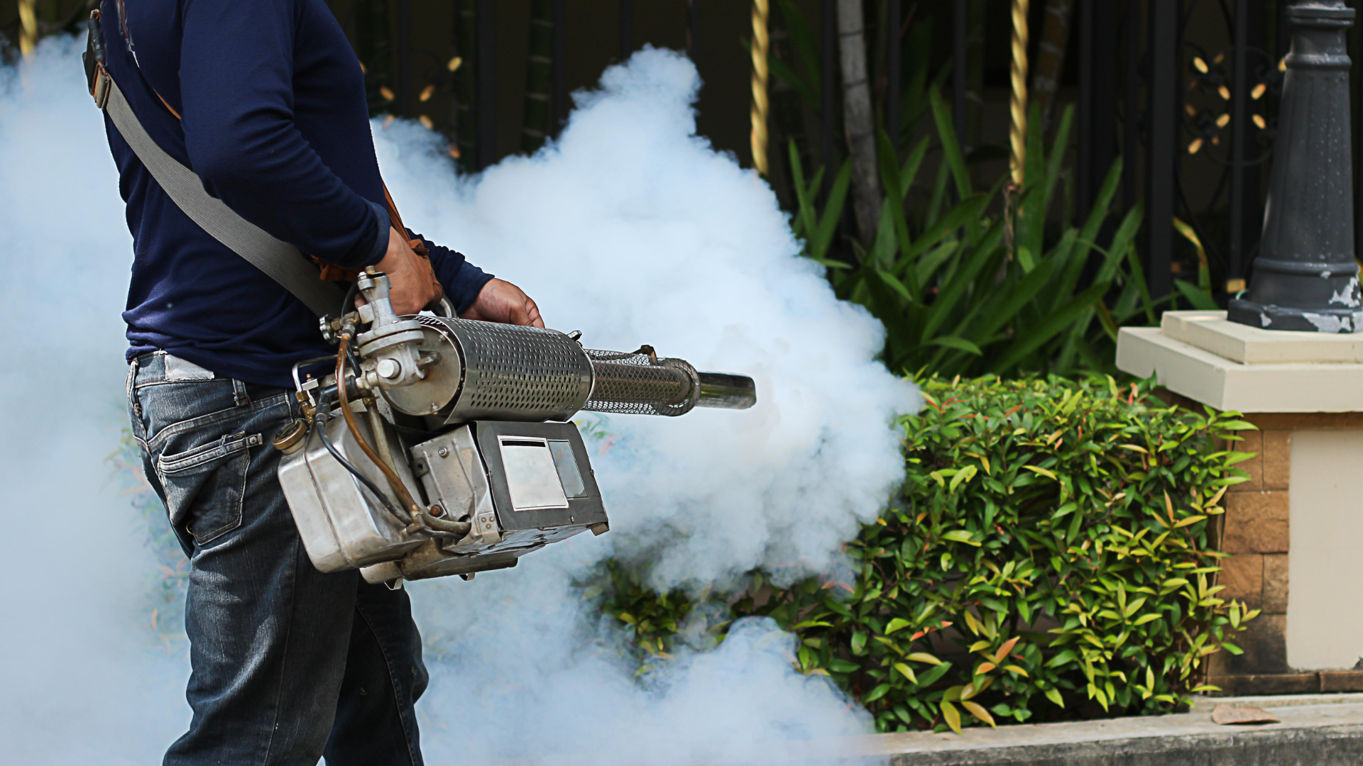 A man is using a machine to spray smoke in a garden.
