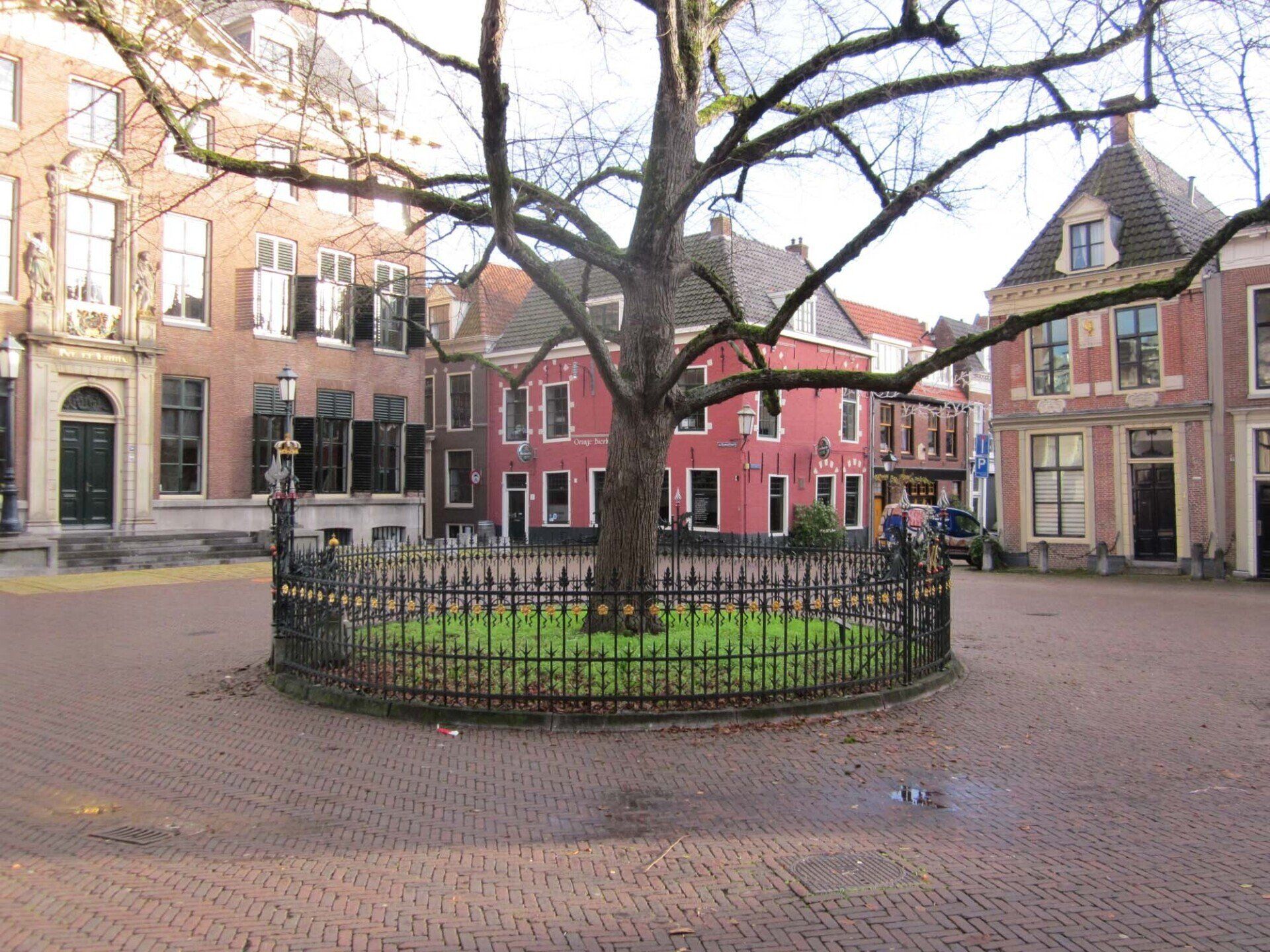 Stadsplein met een kale boom in een omheinde cirkel, omringd door kleurrijke gebouwen en kasseien.
