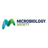 Microbiology Society logo: stylized