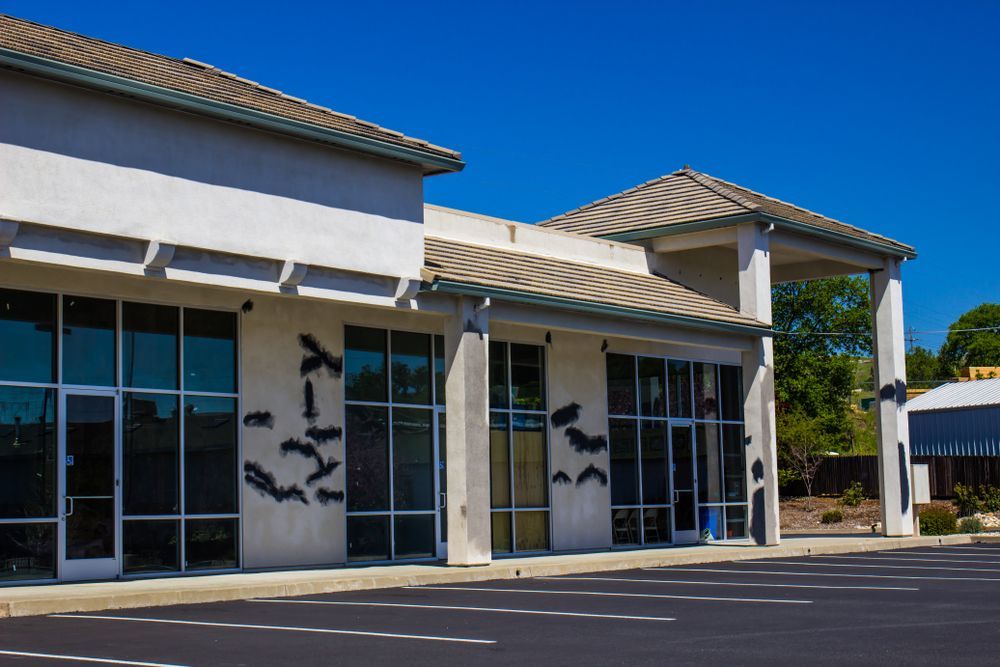 White Commercial Building With Large Glass Windows — Awesome Window Tint In Kempsey, NSW