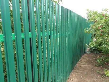 Green Corrugated Metal Fence in a Yard, Separating It From Greenery and a Small Tree — Fencer Steve In Crescent Head, NSW