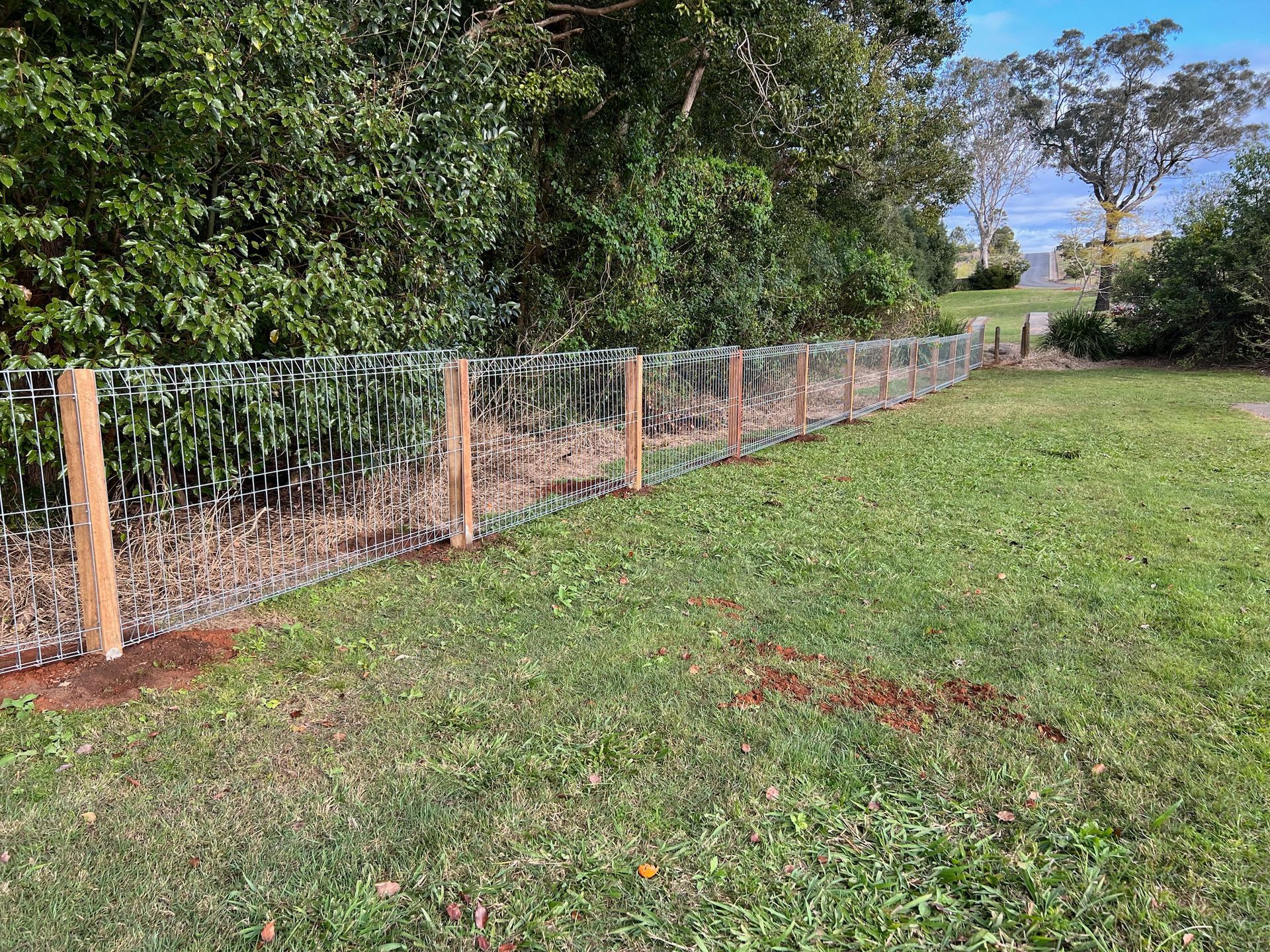 A Wooden Fence With Metal Mesh, Along a Grassy Area With Trees in the Background — Fencer Steve In Crescent Head, NSW