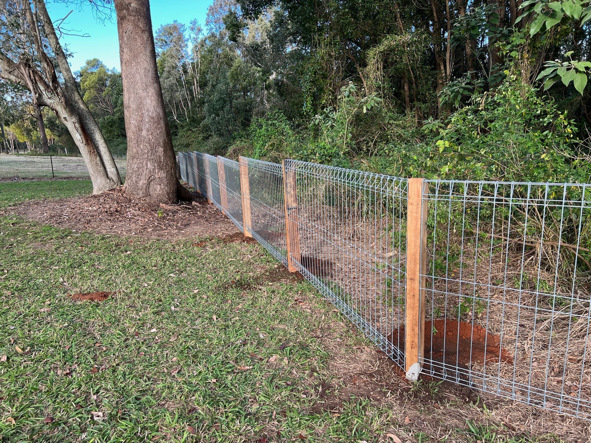 A Wire Fence With Wooden Posts Next to a Tree in a Grassy Area — Fencer Steve In Wauchope, NSW