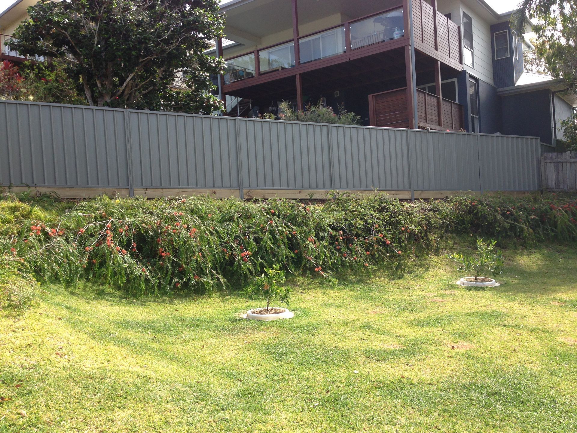 Green Lawn With Two Small Trees, a Gray Fence — Fencer Steve In Kempsey, NSW
