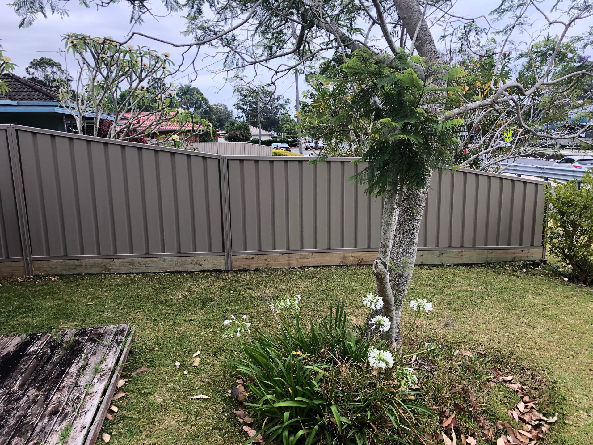 A gray metal fence borders a grassy yard with a tree and small white flowers — Fencer Steve In Temagog, NSW