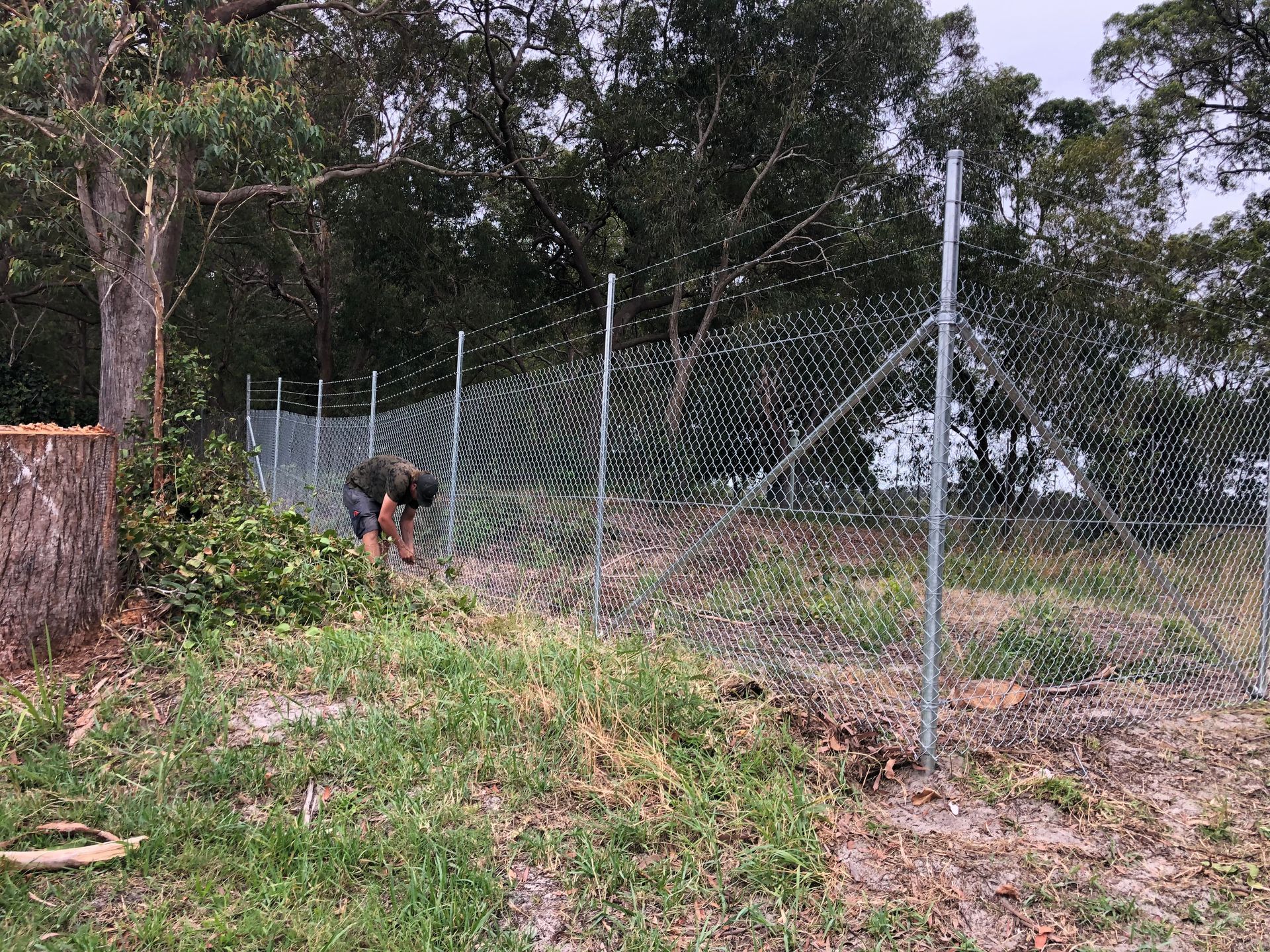 Person Installing a Chain-link Fence in a Grassy Area Near Trees — Fencer Steve In Wauchope, NSW
