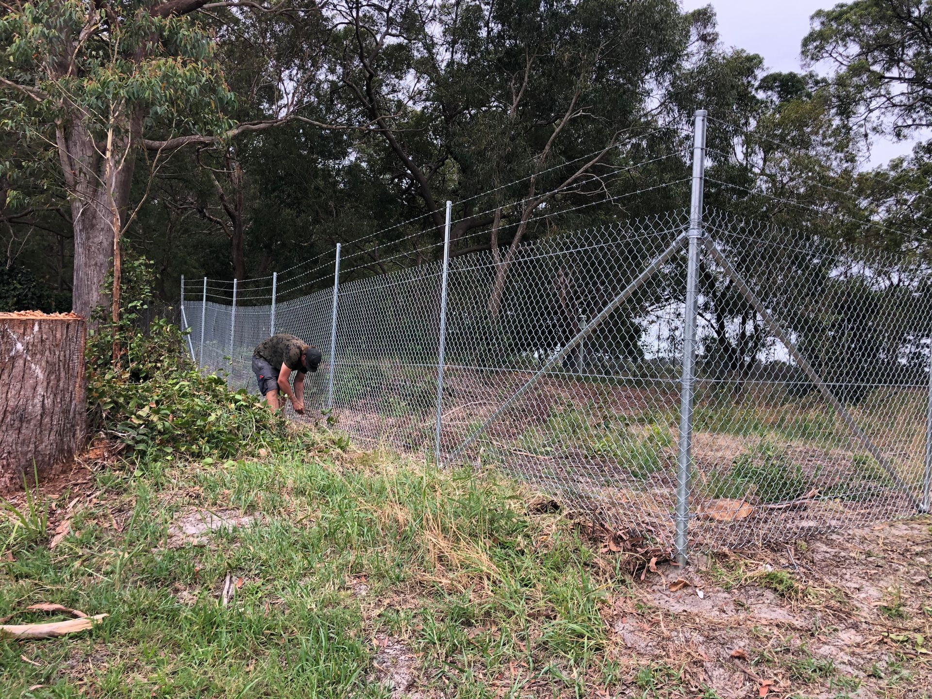 Person installing chain-link fence in grassy area with trees in the background — Fencer Steve In Temagog, NSW