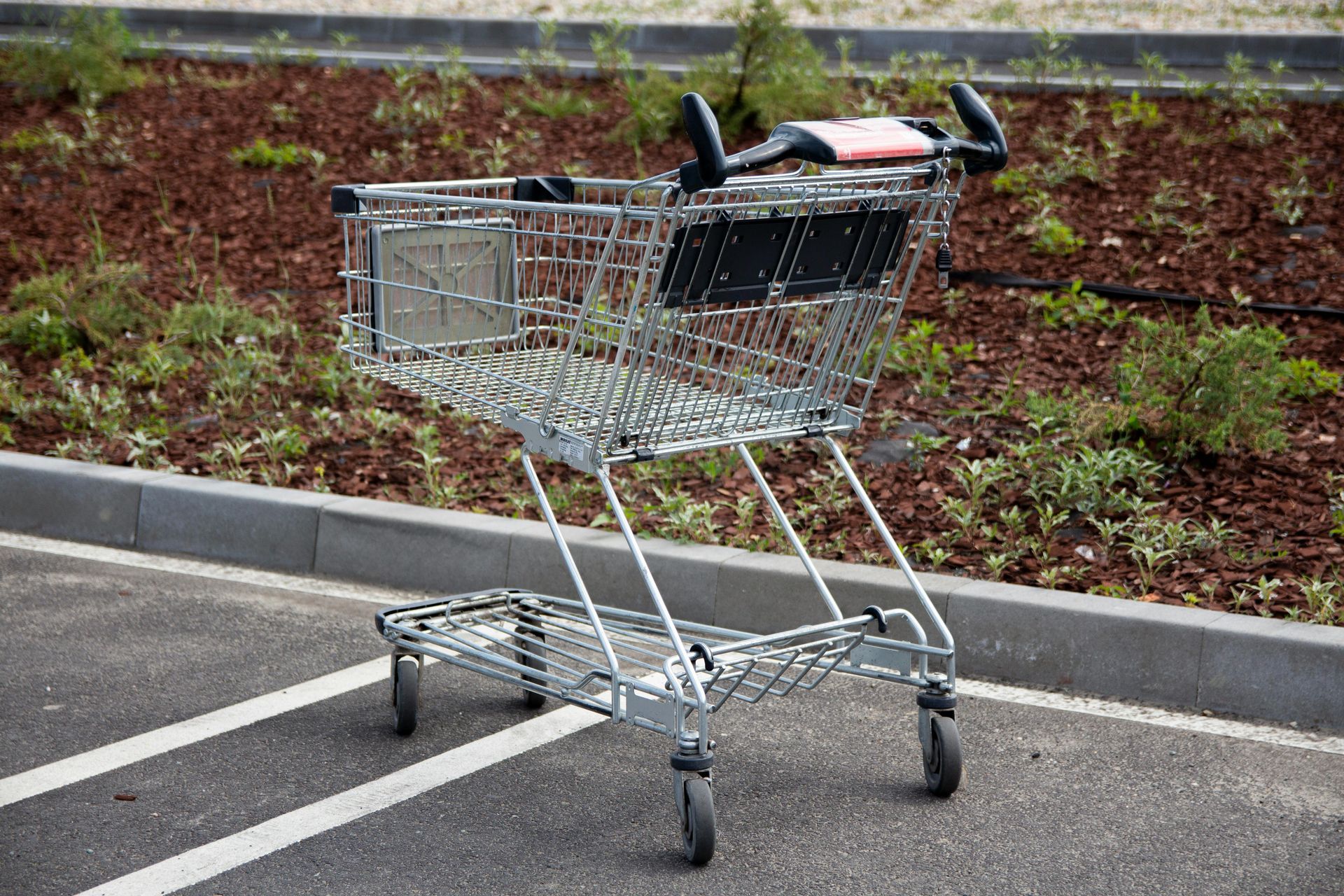Shopping cart parked in a parking lot beside a curb and landscaped area.