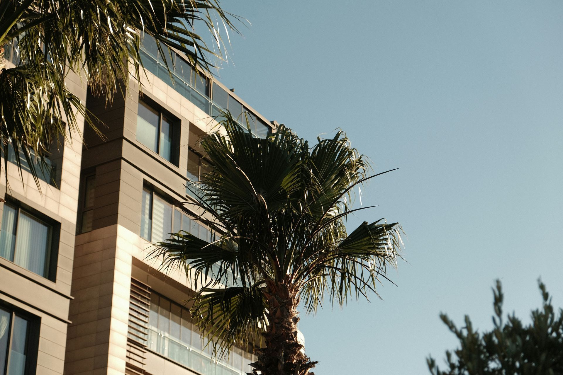 Georgia