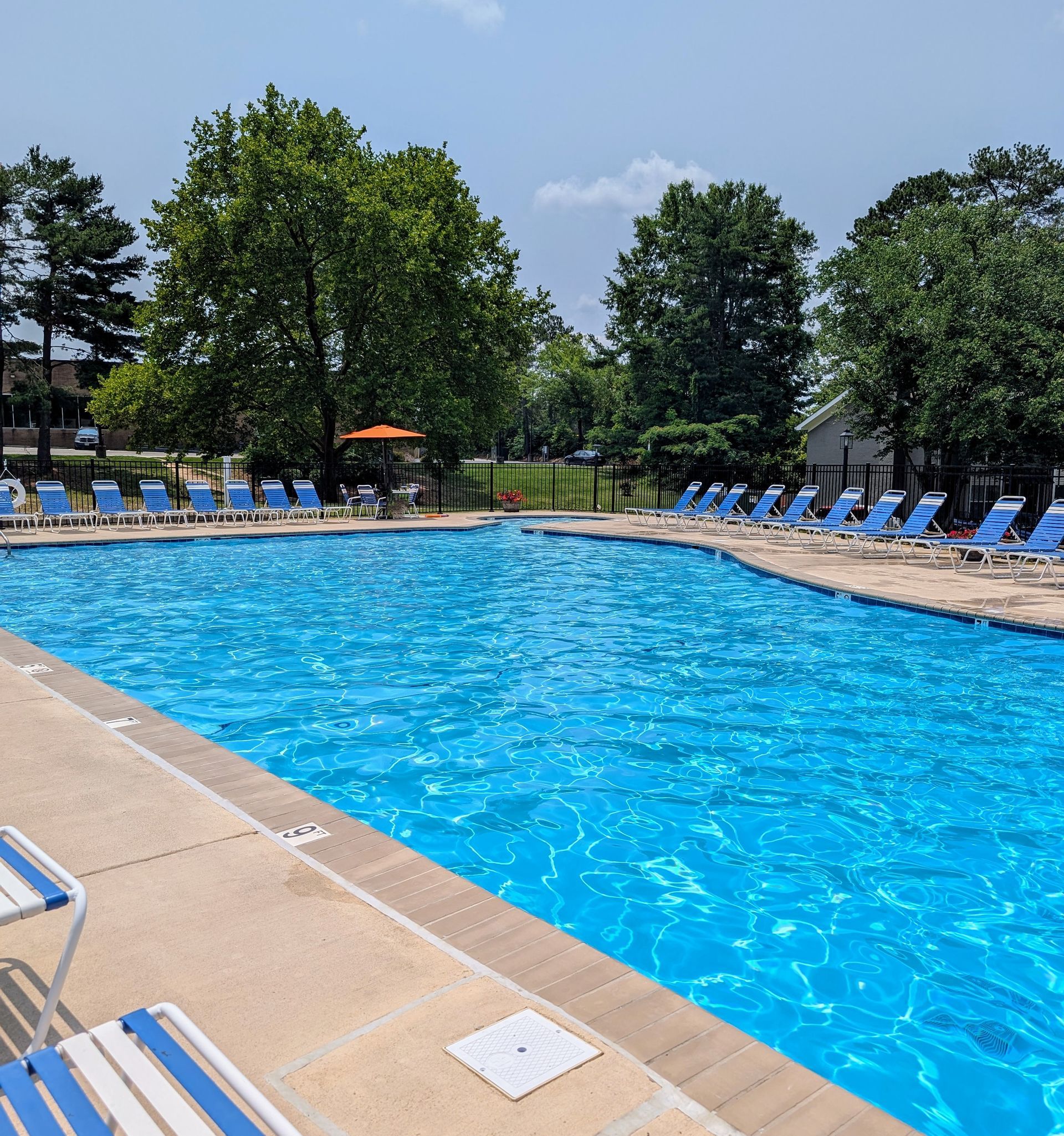 Outdoor swimming pool with bright blue water, lounge chairs, and trees under a sunny sky