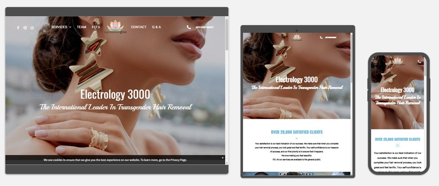 Electrology 3000 website preview