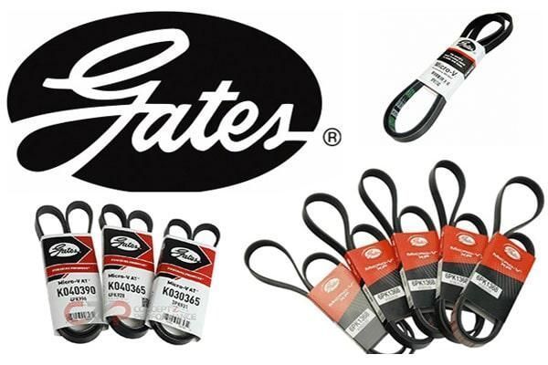 Logotipo de Gates Belt con varias correas de transmisión automotriz negras, rojas y naranjas mostradas sobre fondo blanco.