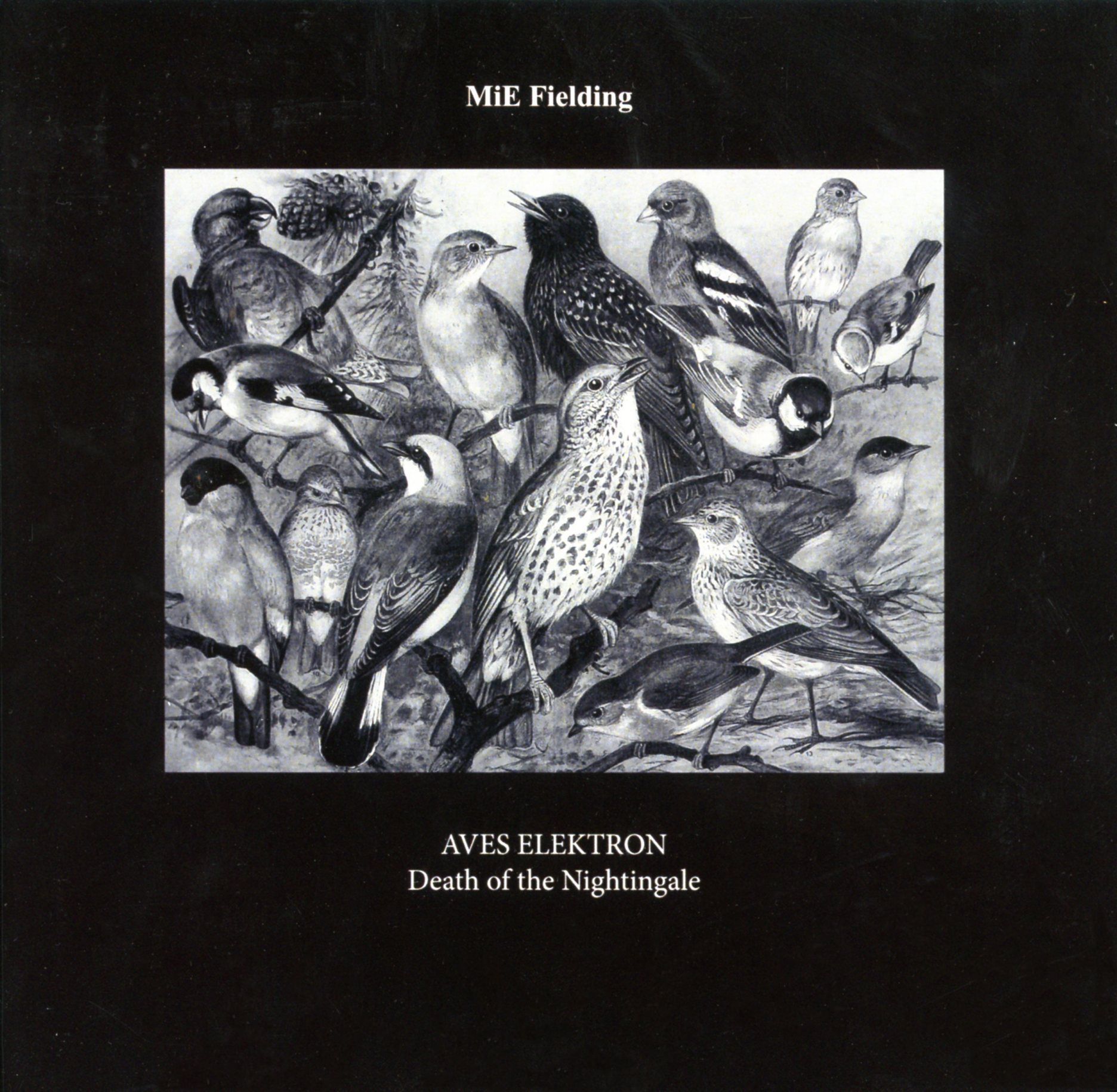Aves Elektron:Death of the Nightingale by MiE Fielding Aves Elektron:Death of the Nightingale by MiE Fielding