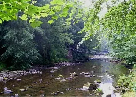 Birdwatching sites in Northumberland. Allen Banks Allen Banks Northumberland. Birdwatching sites in Northumberland