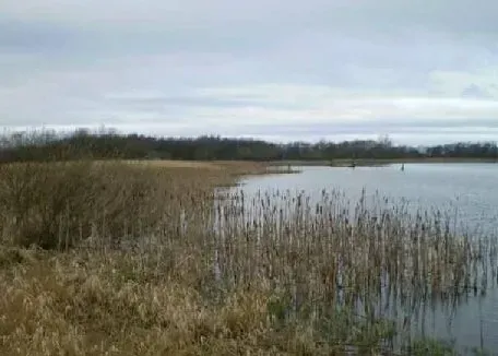 Birdwatching sites in Northumberland. Big Waters Big Waters Nature Reserve. Birdwatching sites in Northumberland
