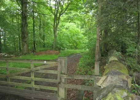 Birdwatching sites in Northumberland. Dipton Woods Dipton Woods Northumberland. Birdwatching sites in Northumberland