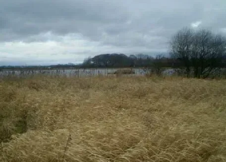 Birdwatching sites in Northumberland. Holywell Ponds Holywell Ponds Northumberland. Birdwatching sites in Northumberland