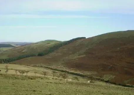 Birdwatching sites in Northumberland.Ingram Valley Ingram Valley Northumberland. Birdwatching sites in Northumberland